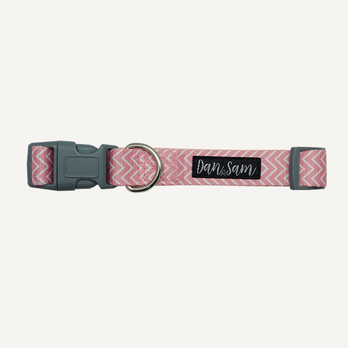 Dan & Sam Candy Floss patterned dog collar