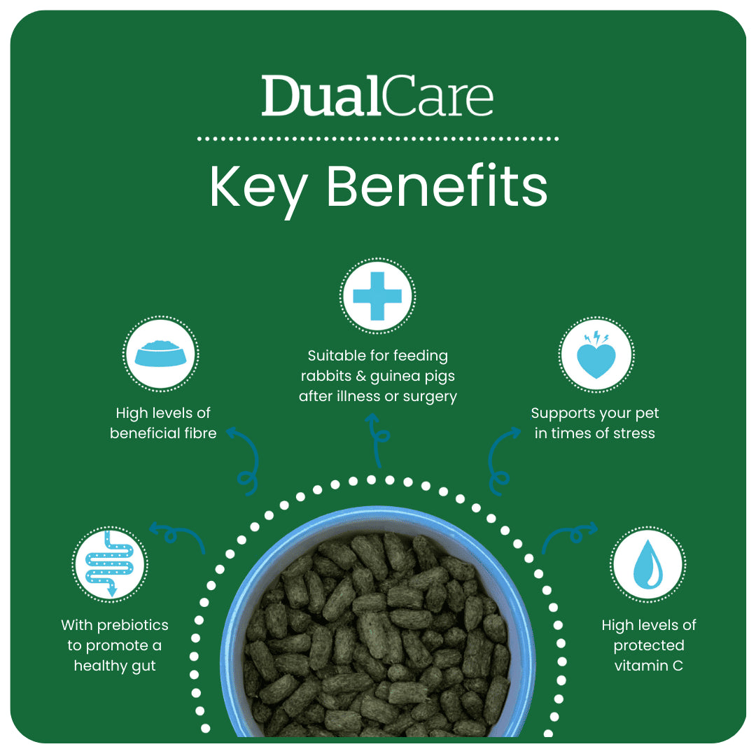 Dual-Care-Key-Benefits
