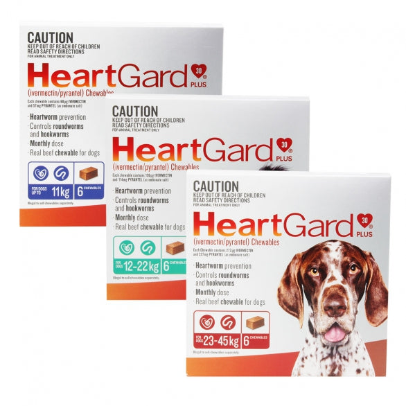 HeartGard Plus 6 pack heartworm chews for dogs