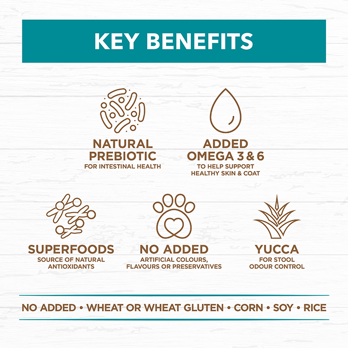 Adult Dog Food – Salmon & Ocean Fish -GRAIN FREE