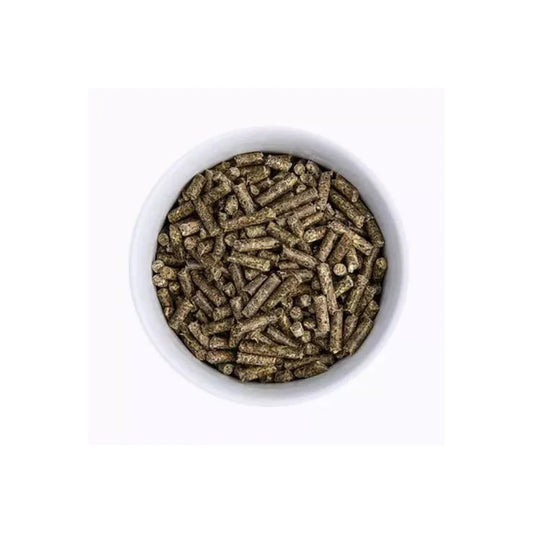 ProDental800g_02