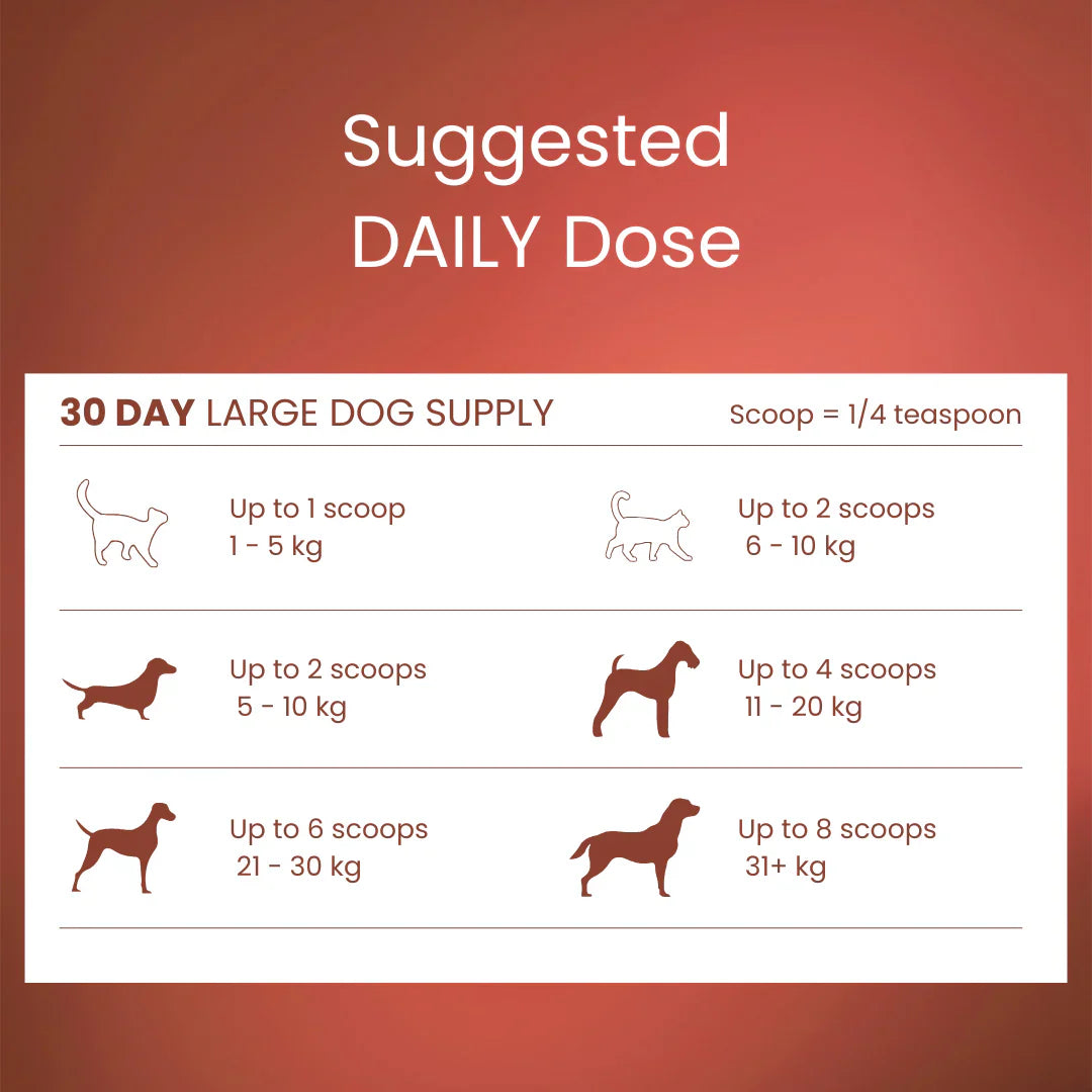 Tandem – Super Foods – New Zealand Beef Bone Broth Powder for Cats & Dogs