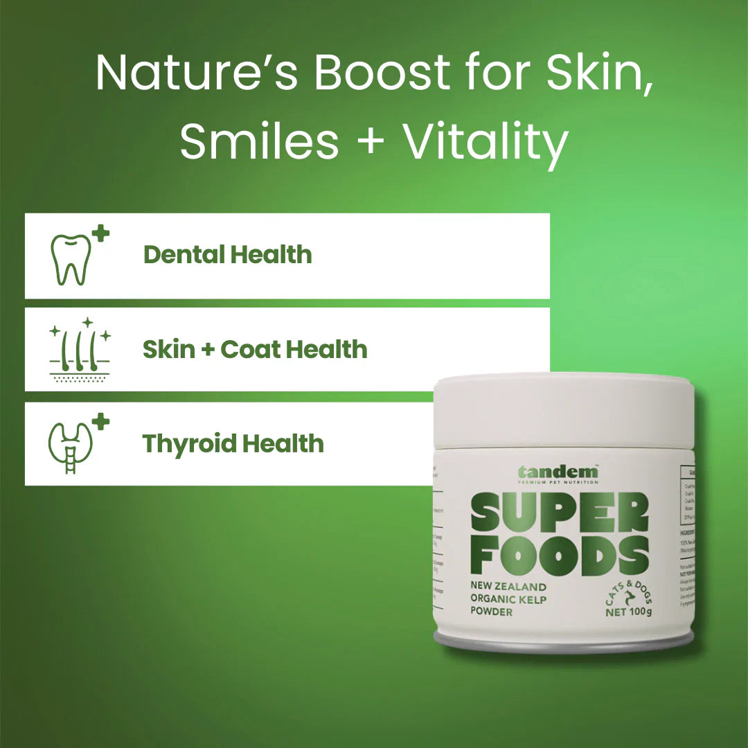 Tandem – Super Foods – New Zealand Organic Kelp Powder for Cats & Dogs