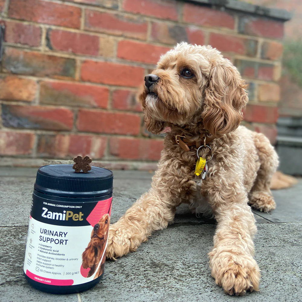 ZamiPet Urinary Support cranberry chews for dogs (4 of 4)