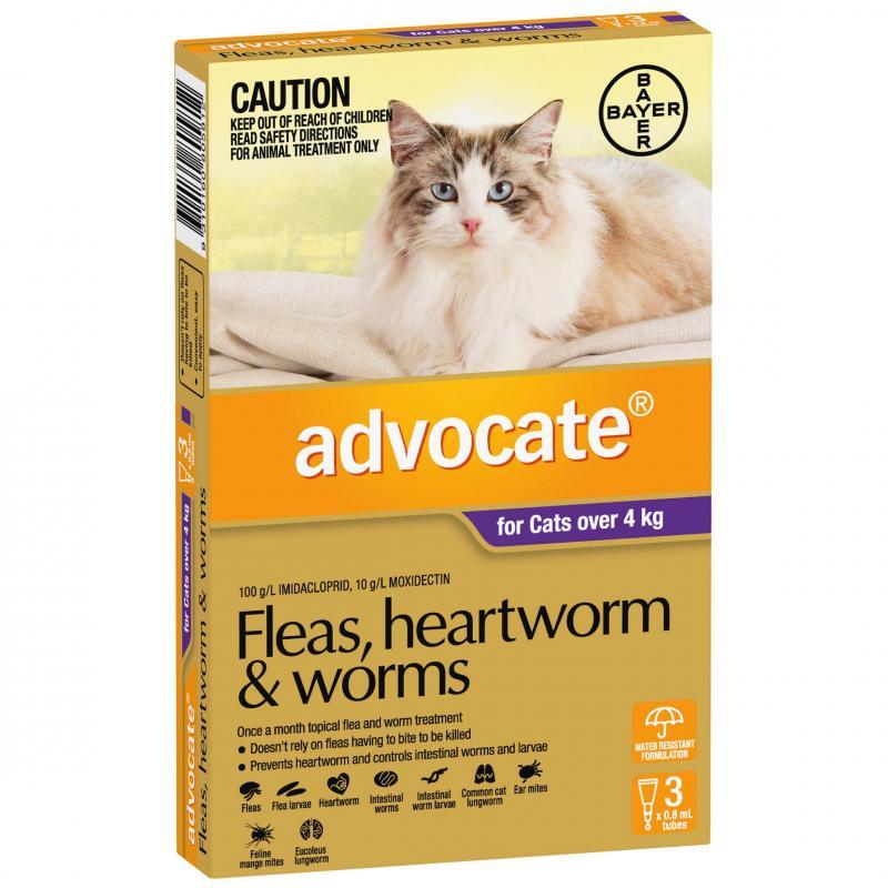 Advocate – Kittens/Cats – Flea & Worm Control – 6 Tubes