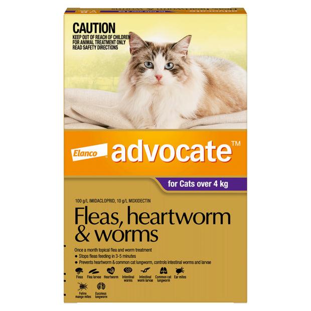 Advocate for Cats – Fleas, Heartworm & Worms