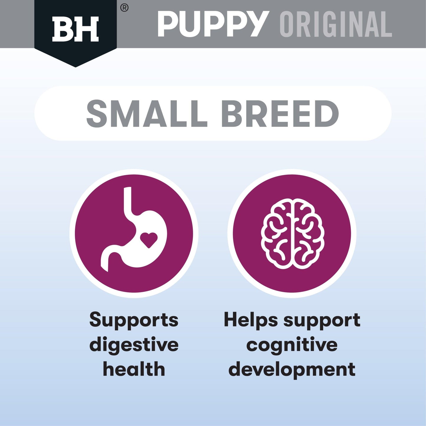 Black Hawk Puppy Small Breed