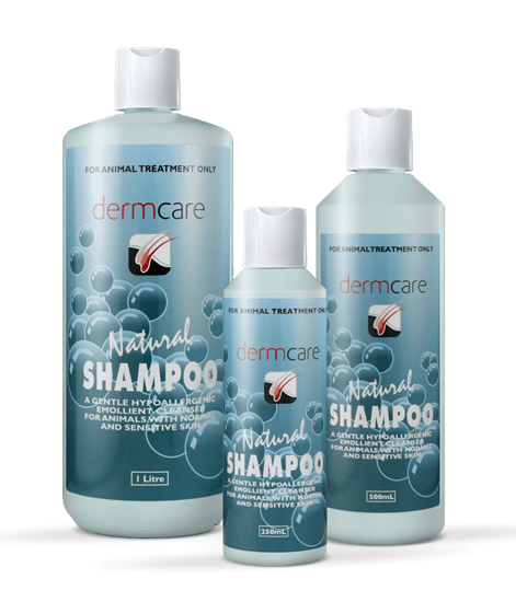 Dermcare Dog Shampoo – Natural Shampoo for Dogs