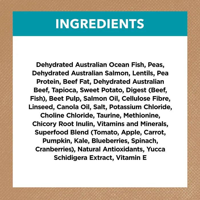 Ivory Coat – Adult Cat – GRAIN FREE – Ocean Fish & Salmon