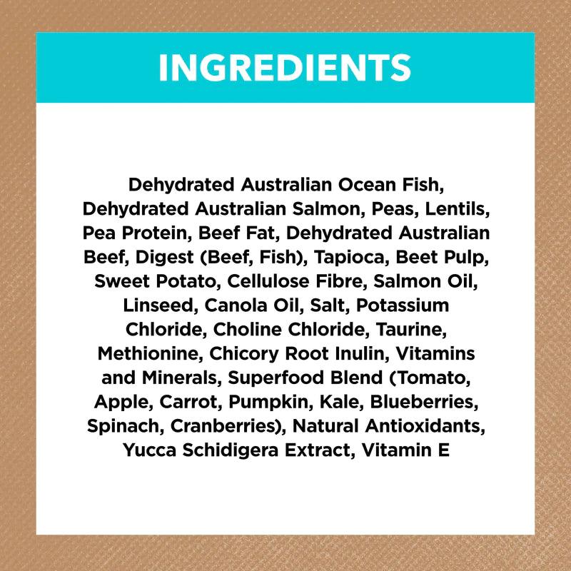 Ivory Coat – Kitten – GRAIN FREE – Ocean Fish & Salmon - 2kg