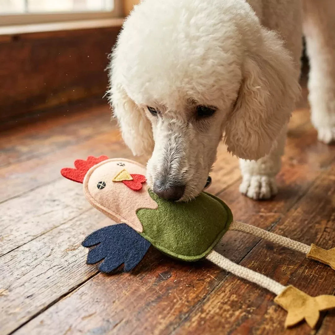 Georgie Paws Matilda the Chicken toy showing cotton rope legs