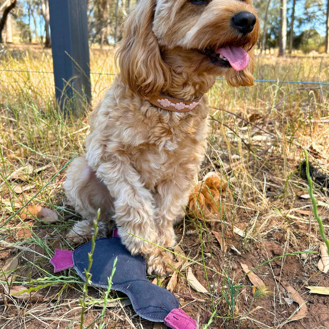 Georgie Paws - Paul the Platypus Dog Toy