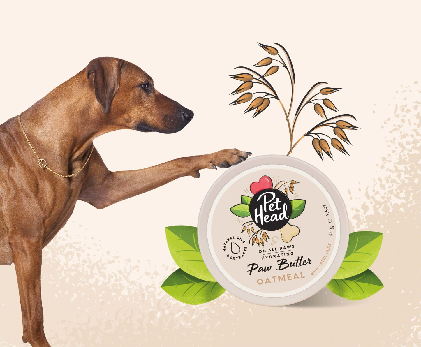 Dogs On All Paws - Oatmeal Paw Butter