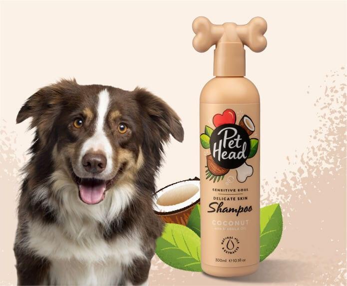 Sensitive Soul Coconut Dog Shampoo