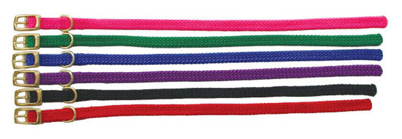Beau Pets 35cm puppy nylon collar shown from the side