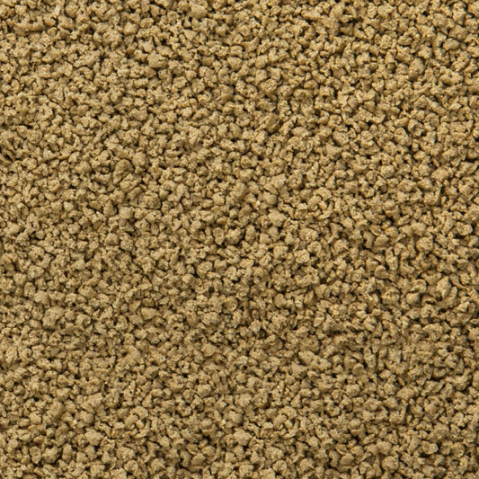 Sera – Immune Probiotic Granules