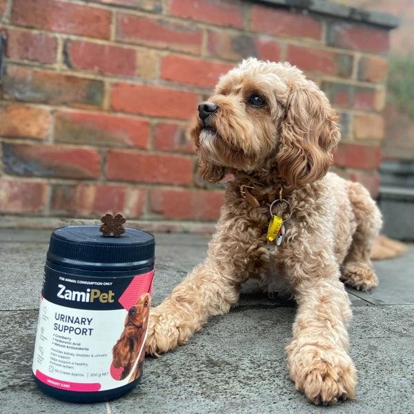 Urinary Support Dog Supplement