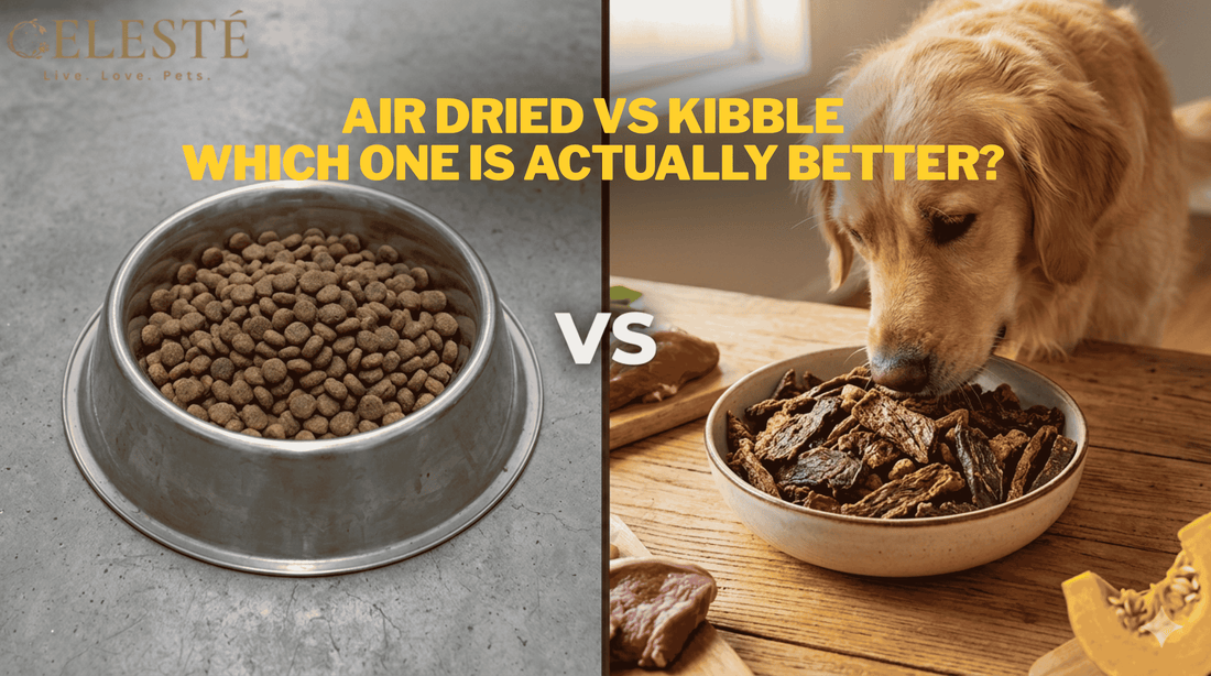 Air Dried vs Kibble Which One Is Actually Better?