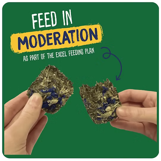 Burgess Excel - Forage & Feast Bar product image 7