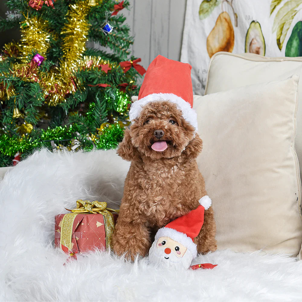 Happy Woofmas – Super Ball Santa Dog Toy