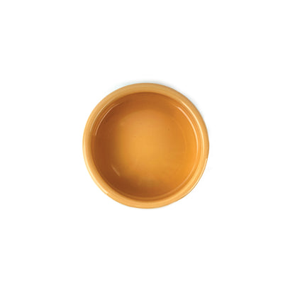 Pipsqueak ceramic carrot bowl, angled view showing glaze detail