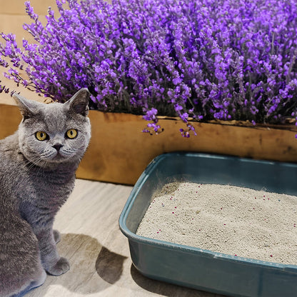 PooWee Lavender Clumping Litter packaging detail