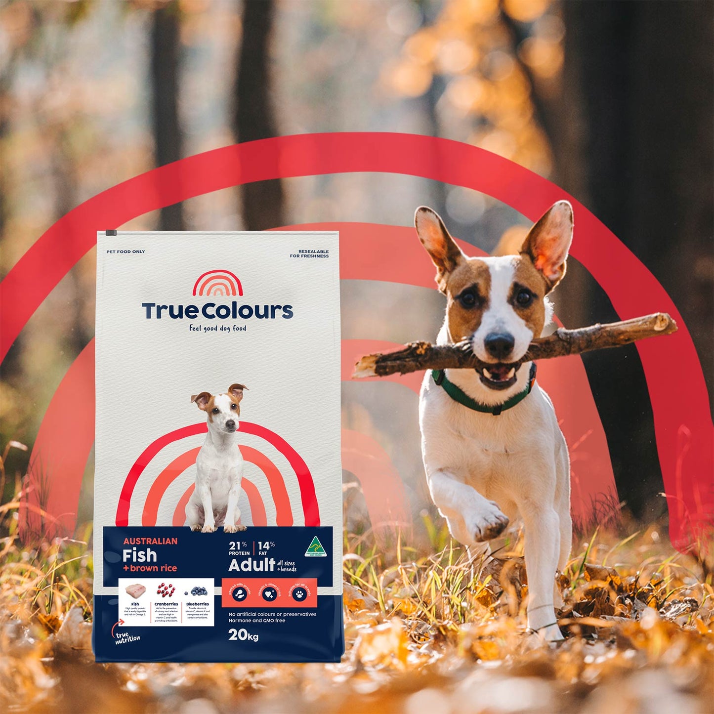 Adult Dog - Australian Fish + Brown Rice product image 5