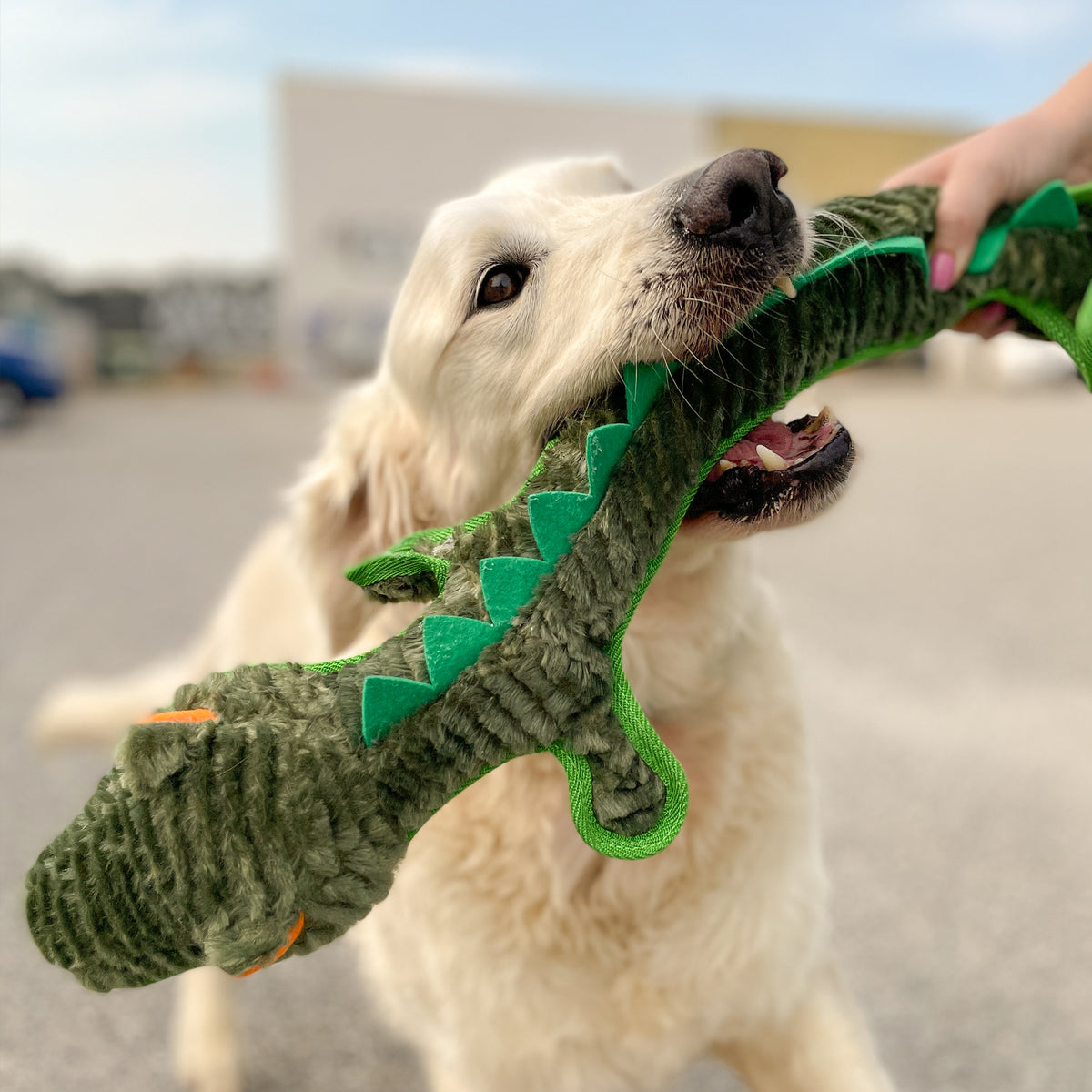 RUFF Play Plush Buddies Tuff Crocodile alternate angle