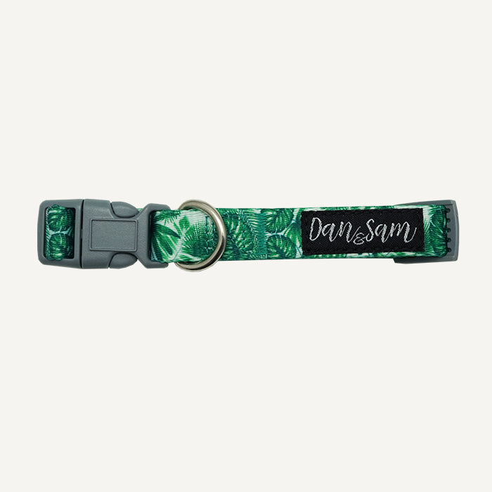 Dan & Sam Lahana patterned dog collar