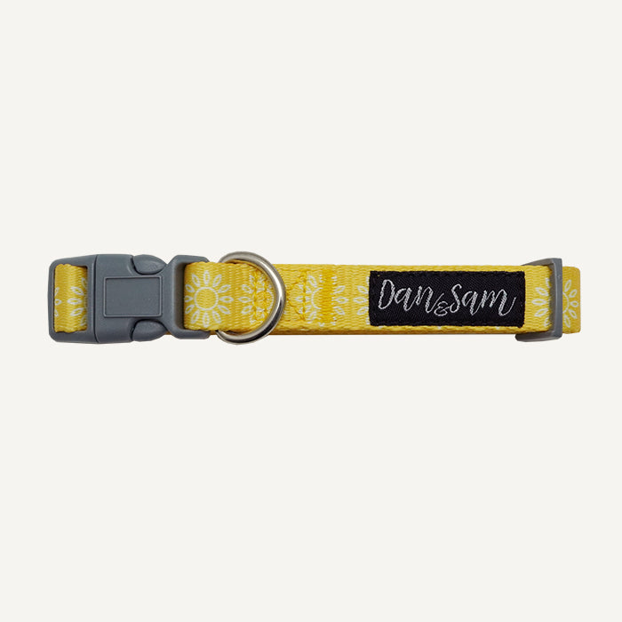 Dan & Sam Wild Sunflower patterned dog collar