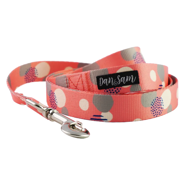 Dan & Sam Fabulous patterned dog lead, large size