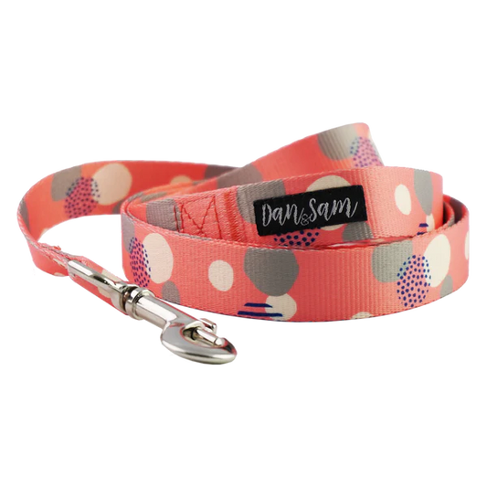 Dan & Sam Fabulous patterned dog lead, large size