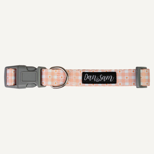 Dan & Sam Daisy Picnic dog collar in peachy gingham print
