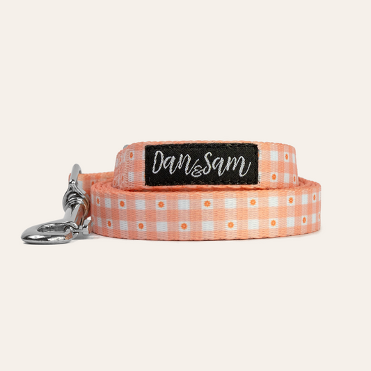 Dan & Sam Daisy Picnic print dog lead