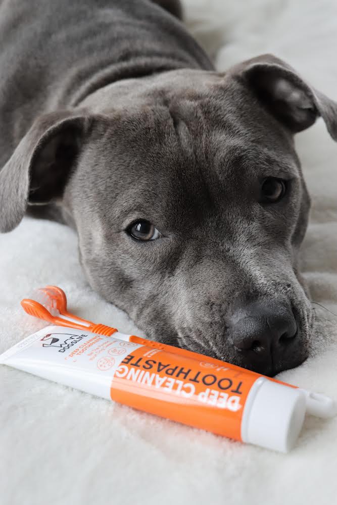 Dogslife – Deep Cleaning Toothpaste
