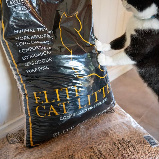 Elite Wood Pellets pine cat litter bag on shelf