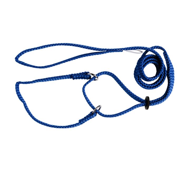 Beau Pets martingale show lead laid flat showing loop