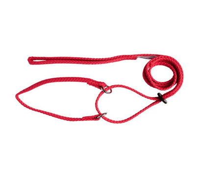Beau Pets martingale show lead with rubber slide lock detail
