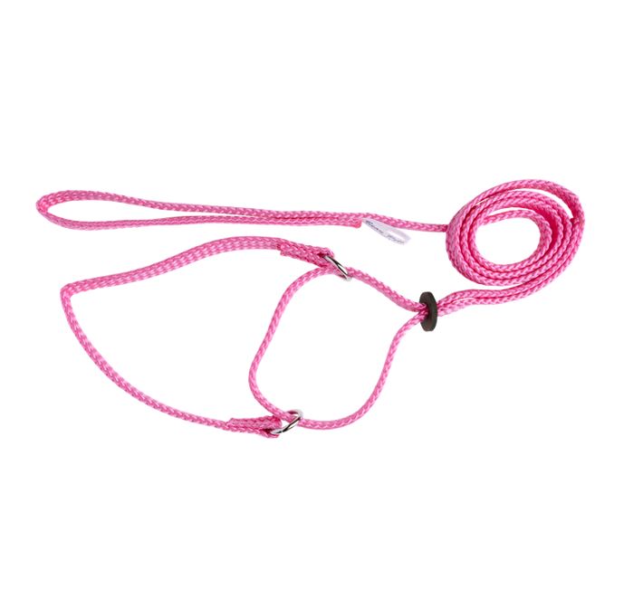 Beau Pets martingale show lead in an alternate colourway