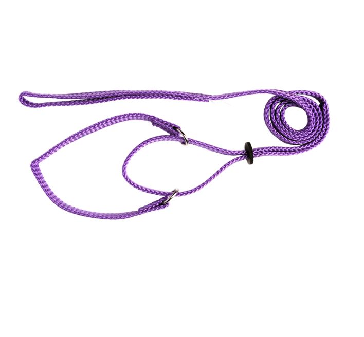 Beau Pets martingale show lead coiled for display