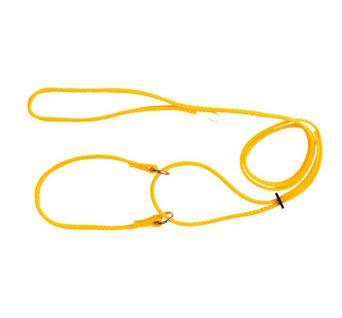 Beau Pets martingale show lead shown at full length