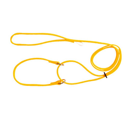 Beau Pets martingale show lead shown at full length