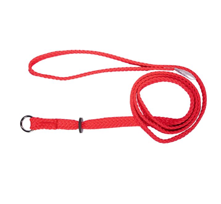 Beau Pets red nylon single choker slip lead for dogs