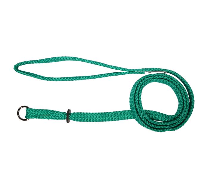 Beau Pets green nylon single choker slip lead for dogs