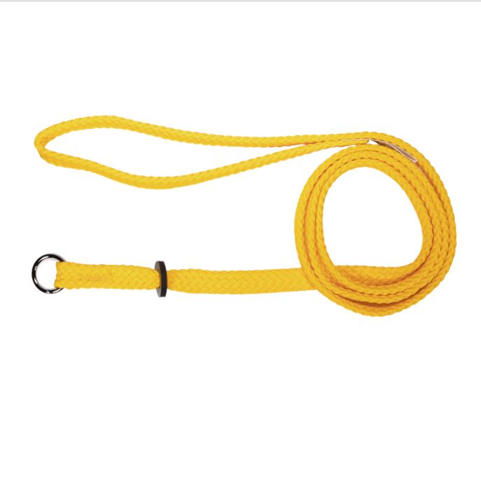 Beau Pets gold nylon single choker lead for dogs