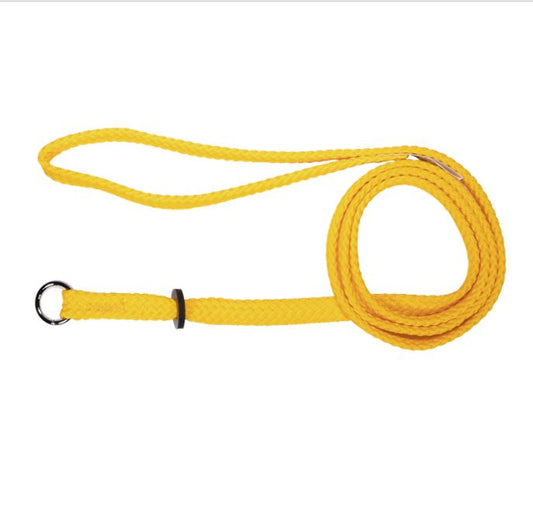 Beau Pets gold nylon single choker lead for dogs