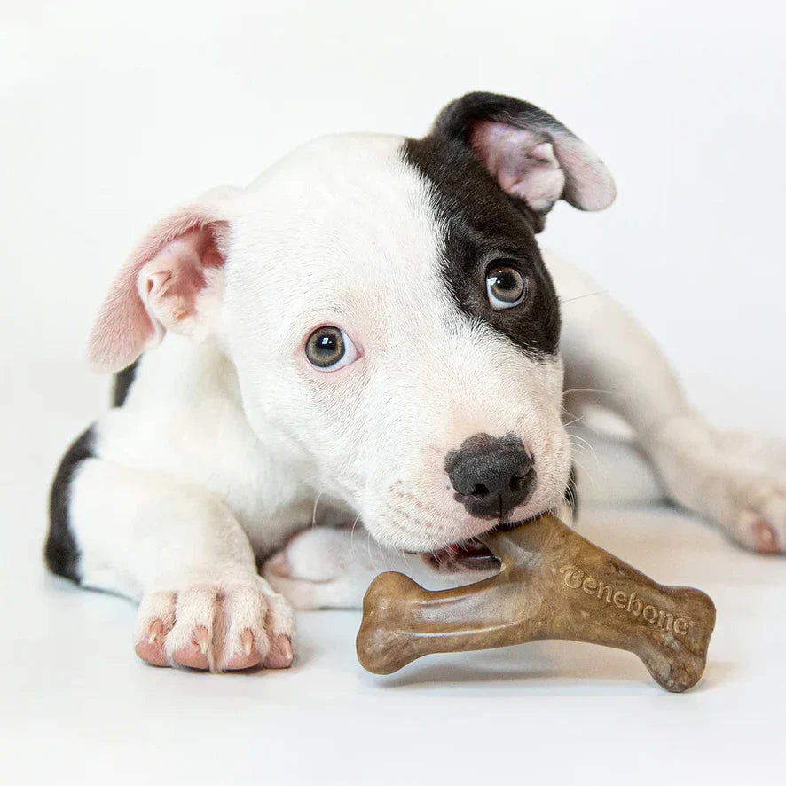 Bacon Puppy Wishbone Soothing Chews