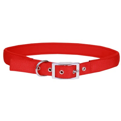 Beau Pets red neoprene dog collar