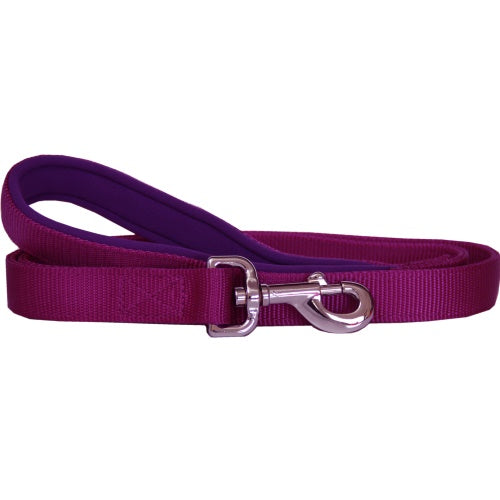 Beau Pets purple nylon dog lead with neoprene handle