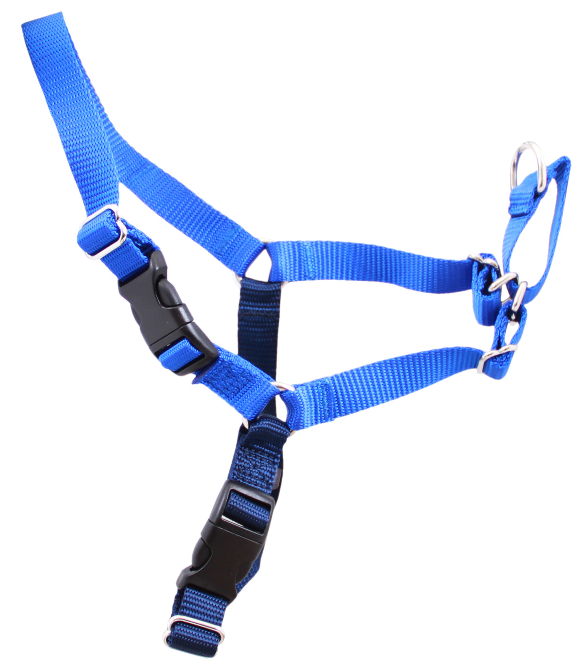 Blue Beau Pets Gentle Leader Harness fitted on a medium-sized dog